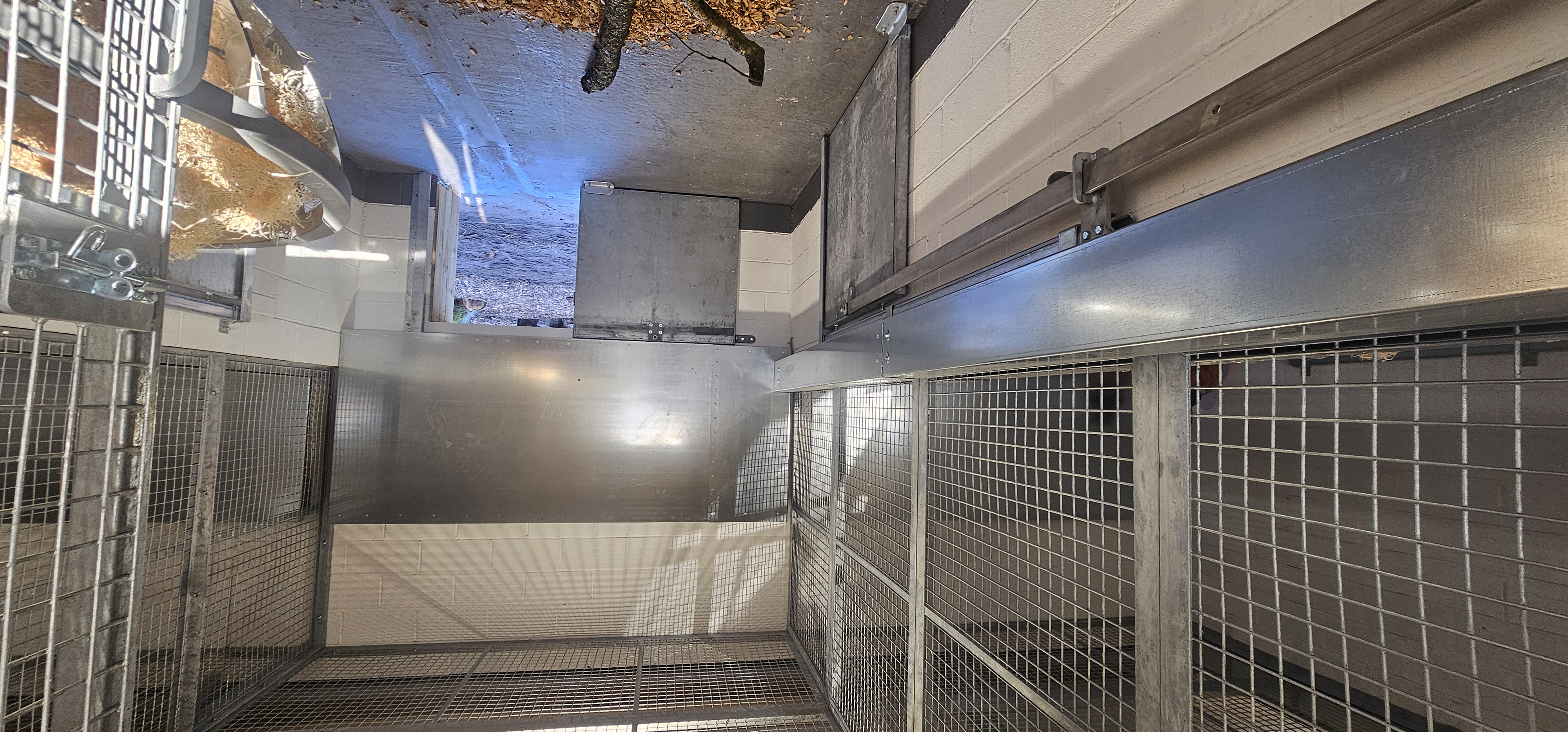 Plumbing installation for drinkers and services