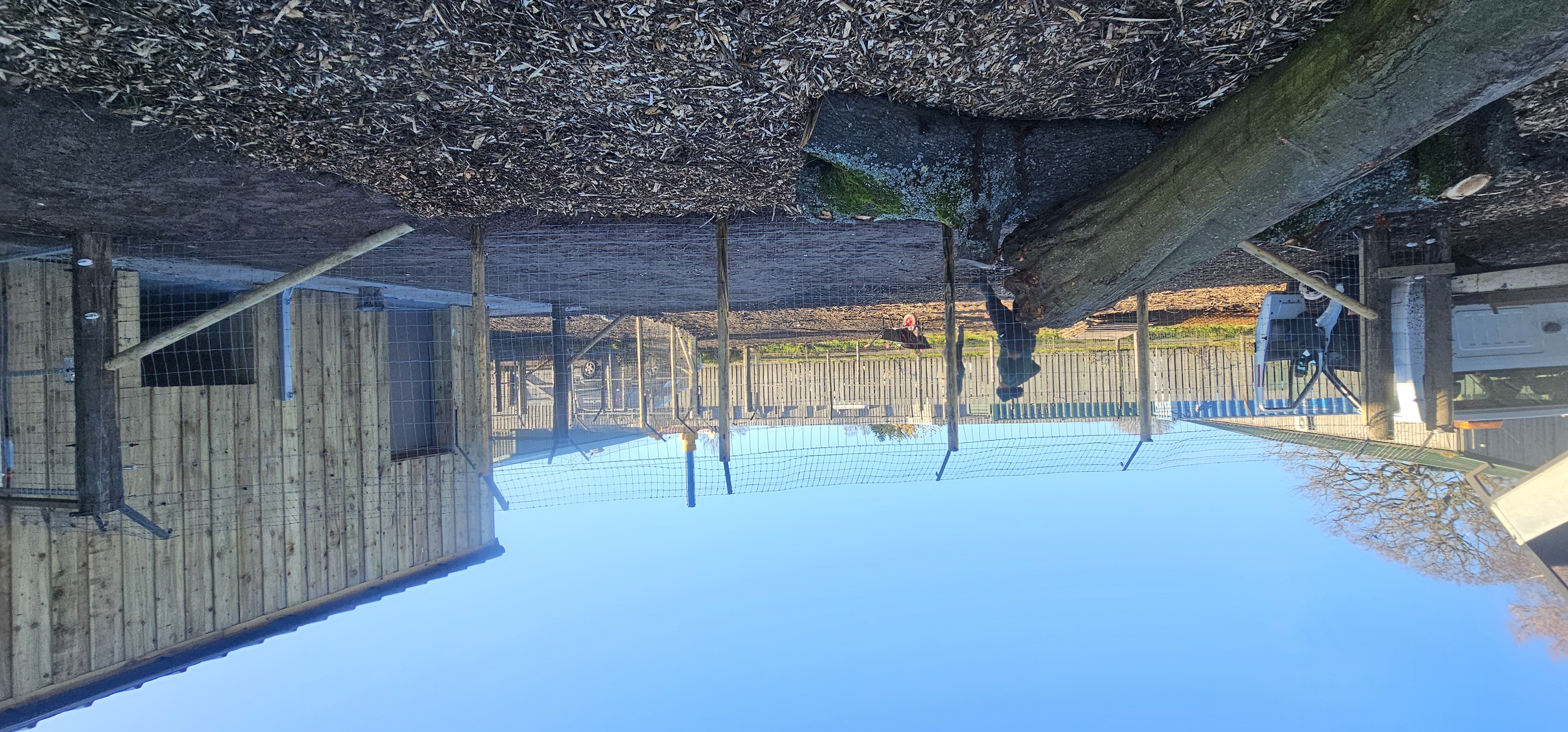 Perimeter fencing and final landscaping works